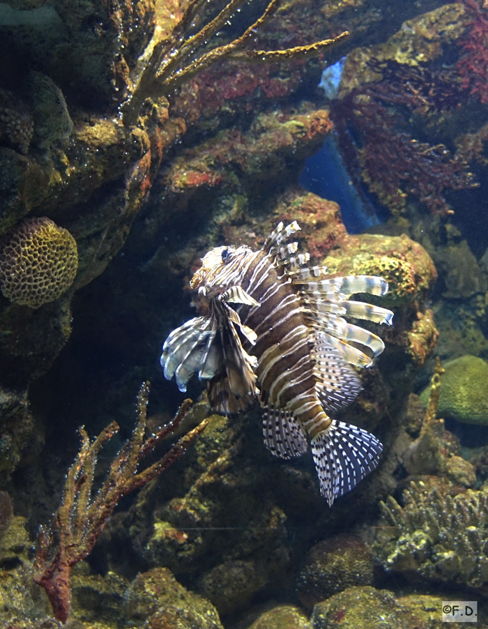 Aquarium Barcelona