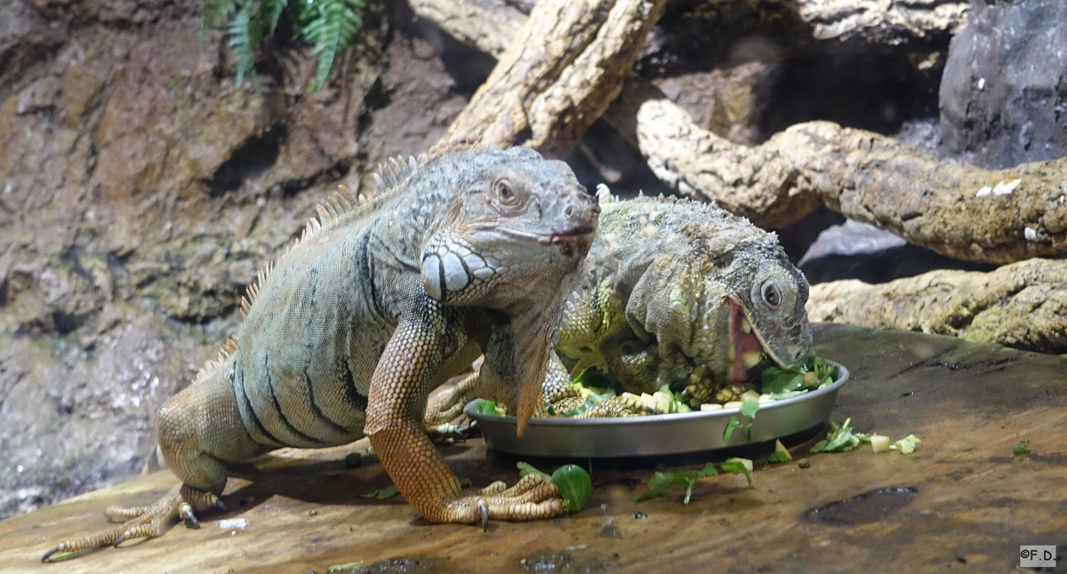 Aquarium Barcelona